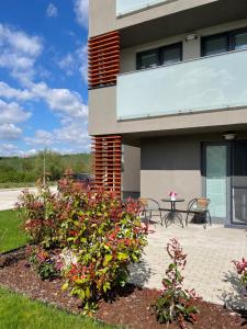 Zahrada ubytování Apartmán Rose