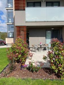 Zahrada ubytování Apartmán Rose