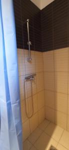 La salle de bains est pourvue d'une douche avec un pommeau de douche. dans l'établissement Cozy Panorama at the Castle, à Budapest