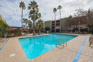 uma grande piscina com palmeiras e um edifício em Fabulous First Floor Condo in Old Town Scottsdale! em Scottsdale