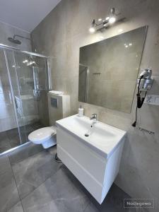 a bathroom with a sink and a shower and a toilet at Ostoja Nad Rzeką in Łeba