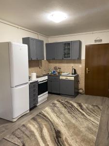 Kuchyň nebo kuchyňský kout v ubytování Apartment Mimo