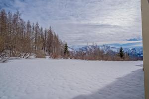 pokryte śniegiem pole z drzewami i górami w tle w obiekcie Appartement cosy 1 chambre 4 pers face pistes 08 w mieście LʼHuez +2 zdjęcia