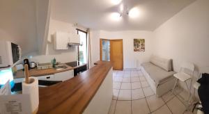 a kitchen and a living room with a couch at Paris Malakoff Garden Apartments in Malakoff