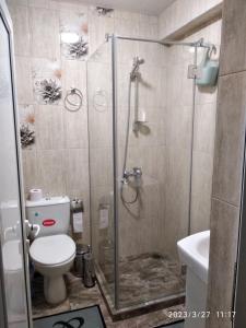 a bathroom with a shower with a toilet and a sink at Деспина in Balchik