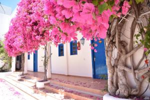Fotografija u galeriji objekta Boutique Hotel Tilos Mare u gradu Livadija