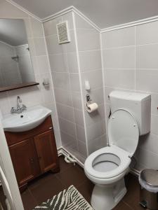 La salle de bains est pourvue de toilettes et d'un lavabo. dans l'établissement Casa Mi&Ra, à Lepşa