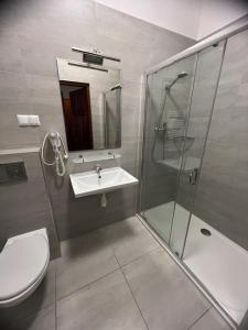 uma casa de banho com um WC, um lavatório e um chuveiro em Nad Starą Nidą *** em Pinczów