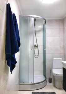 a bathroom with a shower with a toilet and blue towels at Центр посуточно Новая двухуровневая квартира da Luisa in Mukacheve
