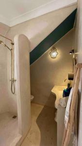 a bathroom with a shower and a sink and a toilet at Dar Vevé - Design, style & relax in Dar el Bacha in Marrakesh