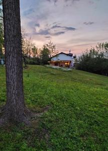 una casa en una colina con un árbol en primer plano en Ca'Luna en Mondovì