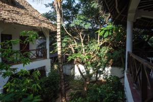 a view of the courtyard of a house at PASHA HOTEL Zanzibar in Nungwi