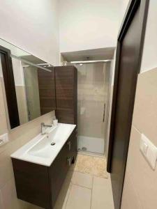 La salle de bains est pourvue d'un lavabo et d'une douche. dans l'établissement Appartamento nel Borgo, à Orte