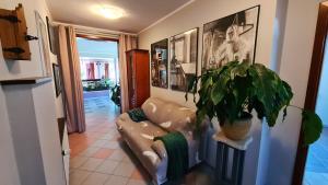 Borónia في Borowo: غرفة معيشة مع أريكة ونبات الفخار