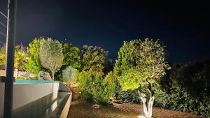 a view of trees and a swimming pool at night at Villa Porto-vecchio 4 chambres avec piscine in Porto-Vecchio