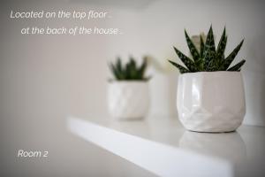 two plants in white vases sitting on a shelf at Town House Chantry - With Self Check In and Free Parking - Rooms at ipswichdigs in Ipswich