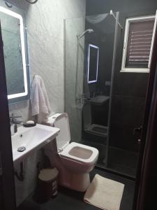 uma casa de banho com um WC, um lavatório e um chuveiro em Private Villa Aras -Pleasure of Elegance & Serenity em Vlorë