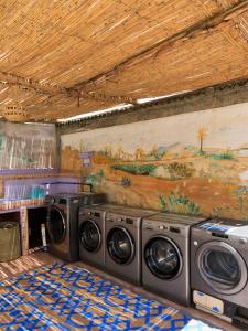タガズートにあるKasbari Houseの壁に絵画が飾られた部屋内の洗濯機2台
