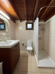 a bathroom with a toilet and a shower and a sink at Koilani Village House in Koilani