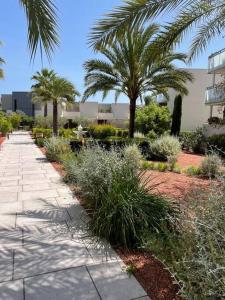 un jardin avec des palmiers et un trottoir dans l'établissement La movida, à Lattes