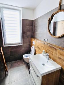 a bathroom with a sink and a toilet and a mirror at Apartmán Jestřábí Lipno in Černá v Pošumaví +15 photos
