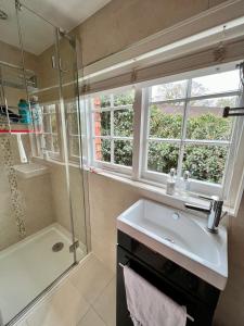 bagno con lavandino e doccia di Vine Cottage a Farnham