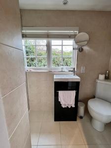 a bathroom with a sink and a toilet and a window at Vine Cottage in Farnham