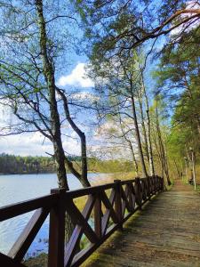 a wooden path next to a lake with trees at Apartament Baranek Nad Jeziorem in Gostycyn