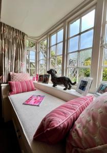 a dog sitting on a window sill in a bedroom at Vine Cottage in Farnham