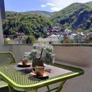 a green table with two plants on a balcony at Apartment Deluxe in Peje
