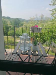 a picnic table with a flower pot on a balcony at IL CILIEGIO DI ZOE in Cerro Lago Maggiore