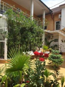 a garden with red flowers and plants in front of a building at Casa Day&Amy in Eforie Sud