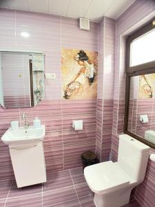 une salle de bains rose avec toilettes et lavabo. dans l'établissement Villa in Bakuriani, à Bakuriani