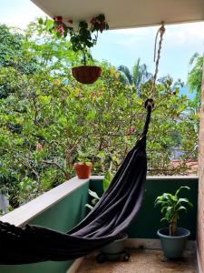 a hammock hanging on a balcony with plants at Habitación privada en el Poblado. Lo mejor de Medellín muy cerca in Medellín