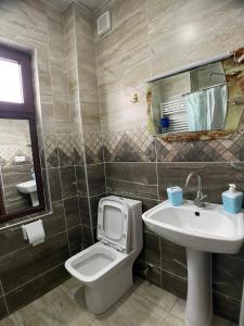 uma casa de banho com um WC e um lavatório em Villa in Bakuriani em Bakuriani