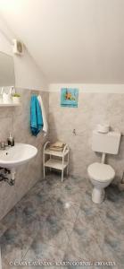 uma casa de banho com um WC branco e um lavatório. em Casa Lavanda 2 - Karin Gornji em Gornji Karin