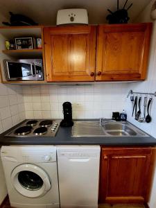 a kitchen with a sink and a washing machine at appartement t2 cosy 4 à 6personnes la gentiane in Superdevoluy