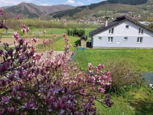 Náttúran í nágrenni íbúðarinnar