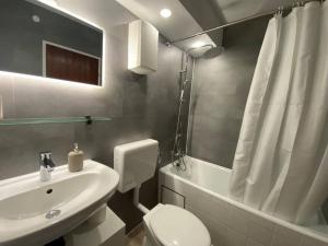 a bathroom with a sink and a toilet and a shower at 1-Zimmerapartment mit Burgblick in Bad Liebenzell +11 photos