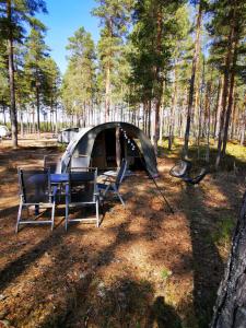 a tent with chairs and a table in a forest at Volledig ingerichte tent op natuurcamping in Gräsmark