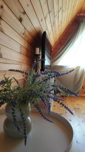 a vase with a plant on a table with a tv at Izbushka Apartment in Tūja +23 photos