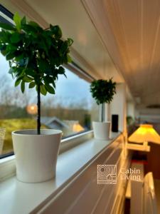 dois vasos de plantas sentados no parapeito da janela em Fantastic Sea Cottage on Justøya Island, Lillesand em Lillesand