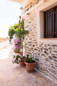 Fotografie z fotogalerie ubytování Filanthi's Retreat In Mani's Nature v destinaci Krini Peloponnese