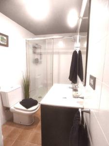 a bathroom with a toilet and a shower and a sink at Apartamento con vistas al castillo in Sagunto