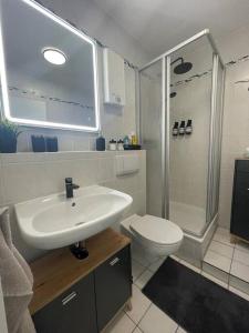 La salle de bains est pourvue d'un lavabo, d'une douche et de toilettes. dans l'établissement Modernes Apartment in Chemnitz, à Chemnitz