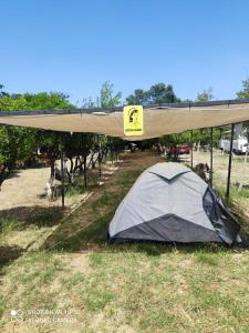 una tenda situata nell'erba sotto un baldacchino di Bodrum Masali Camping a Muğla