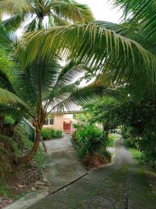 Zahrada ubytování Martinique La petite maison dans la Colline