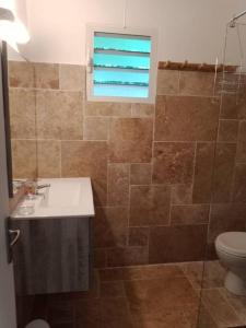 ein Bad mit einem Waschbecken, einem WC und einem Fenster in der Unterkunft Martinique La petite maison dans la Colline in Le Lamentin