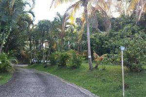 Zahrada ubytování Martinique La petite maison dans la Colline