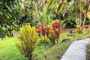 Zahrada ubytování Martinique La petite maison dans la Colline